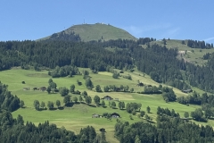 IMG_10